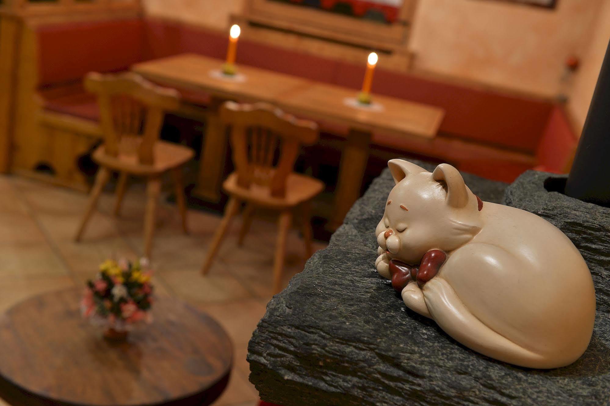 Hotel Costanza Mountain Holiday Ливиньо Экстерьер фото